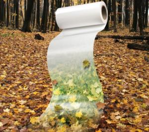 Innovia's and Corbion Purace's new poly lactic acid (PLA) film is a bio-based film able to withstand high temperatures in food packaging and processing.